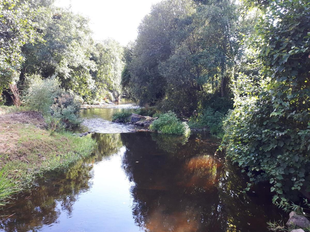 Dream Corner By Waterfalls, 20 Min To Oporto, By Porto With Love Lda Parada  Exterior photo
